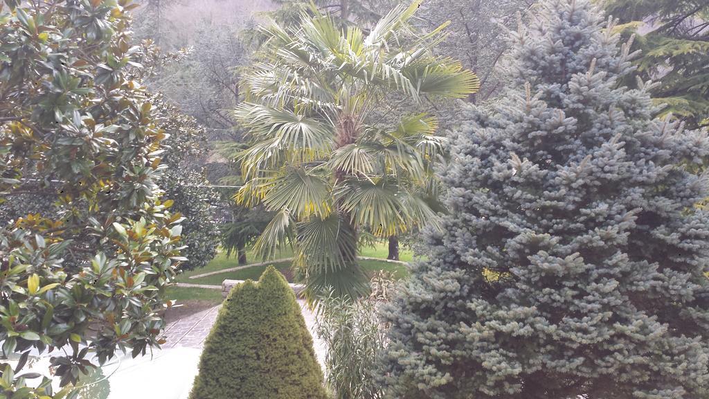 Fontana Vecchia Bed & Breakfast Atina Bagian luar foto